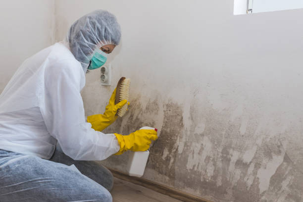 Best Residential Mold Inspection & Testing  in Sycamore, GA