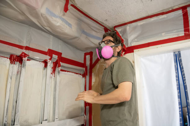 Best Attic Mold Removal  in Sycamore, GA