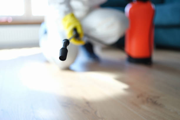 Best Comprehensive Air Testing for Mold Contaminants  in Sycamore, GA