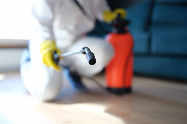 Best Indoor Air Quality Assessment  in Sycamore, GA
