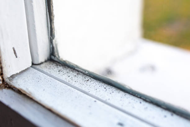 Asbestos and Lead Testing During Mold Inspection in Sycamore, GA