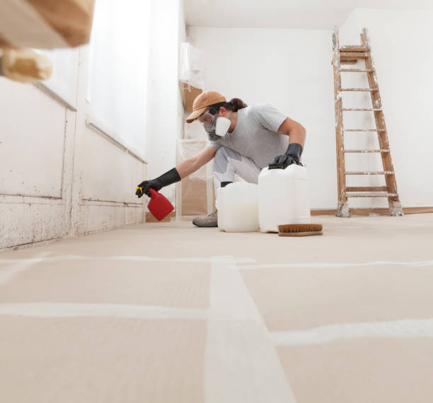  Sycamore, GA Mold Removal Pros