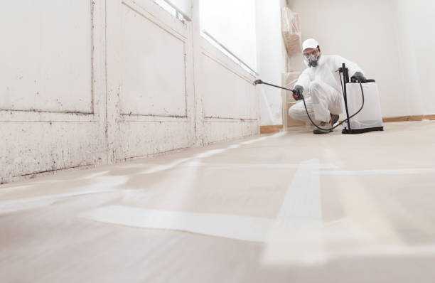 Mold Odor Removal Services in Sycamore, GA